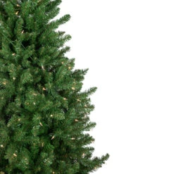 15' Pre-Lit Genoa Fraser Fir Slim Artificial Christmas Tree, Clear Lights 8 15' Pre-Lit Genoa Fraser Fir Slim Artificial Christmas Tree, Clear Lights -Xmas Trees Shop northlight z94044 3 19250.1667530991