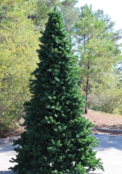 26’ Pre-Lit Giant Olympia Pine CommercialArtificial Tower Christmas Tree - Warm White LED Lights -Xmas Trees Shop olympiaframetree3 10717.1680153258