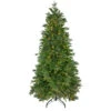 7.5' Pre-Lit Rosemary Emerald Angel Pine Artificial Christmas Tree - Warm White LED Lights